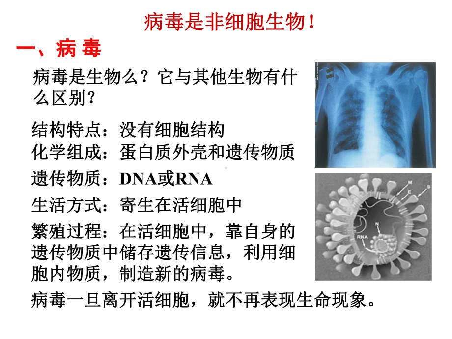 第一章：走进细胞(整章课件).ppt_第2页