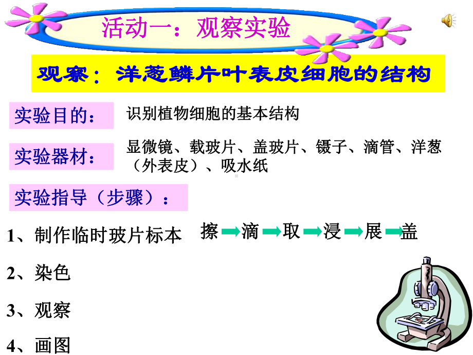 苏教版七年级上册生物课件31植物细胞的结构与功能-.ppt_第2页