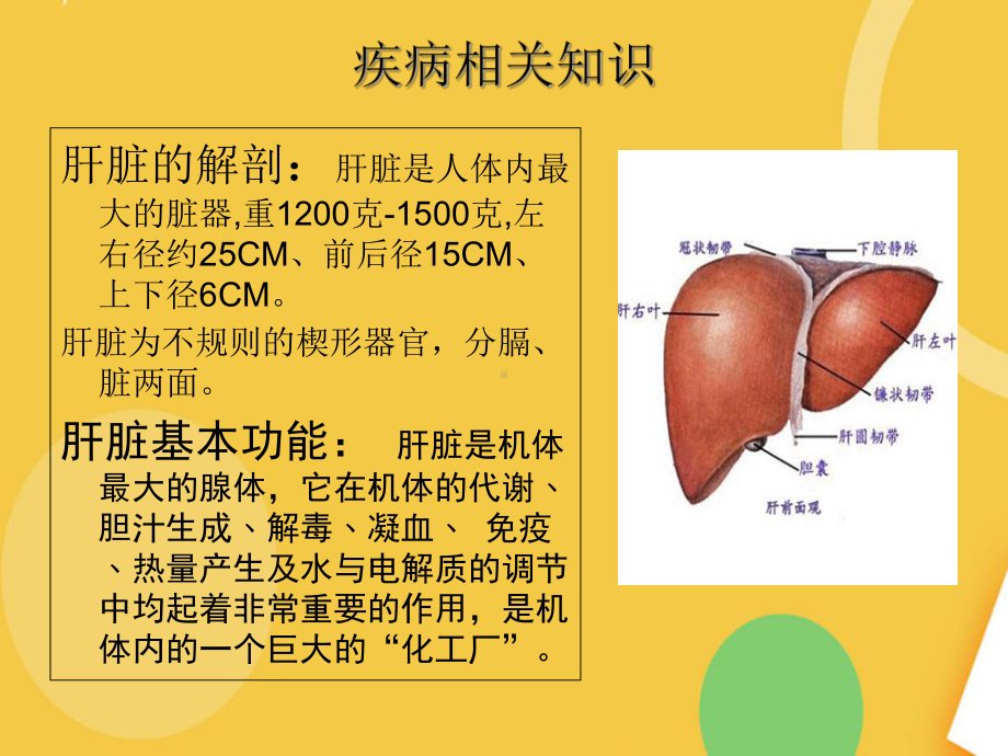 肝介入术后护理查房完整资料课件.ppt_第3页