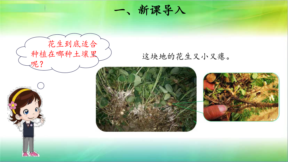 粤教版小学科学新版三年级下册科学3-土壤与植物-课件1.pptx_第3页