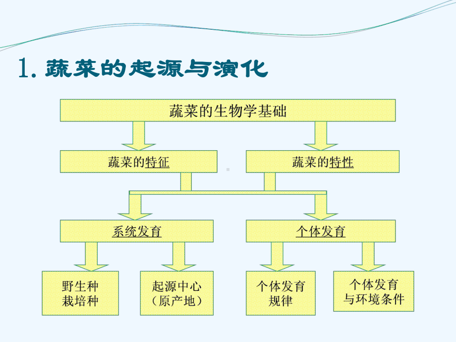 第一章蔬菜的起源与分类课件.pptx_第3页