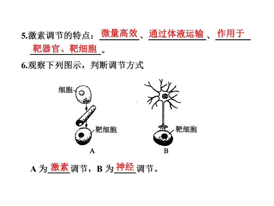 神经调节和体液调节的关系课件.ppt_第3页