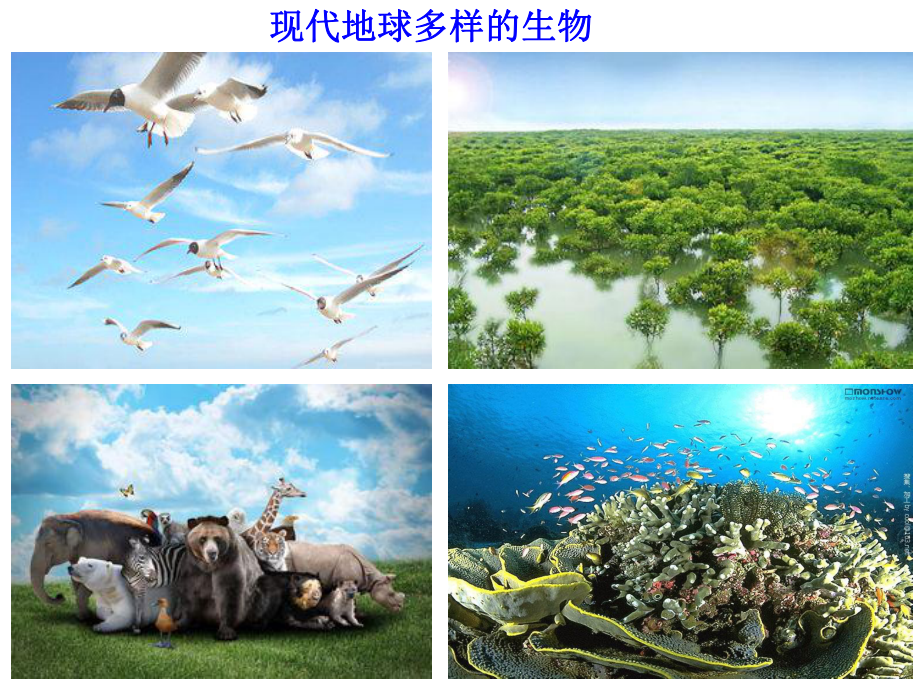 苏教版生物八上5161-生命的诞生-同步课件.ppt_第2页