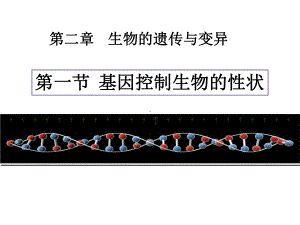 第二章第一节基因控制生物的性状课件.pptx