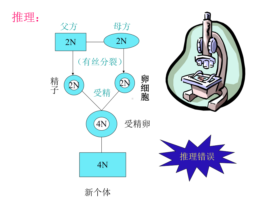 第二章减数分裂(整章课件).ppt_第3页