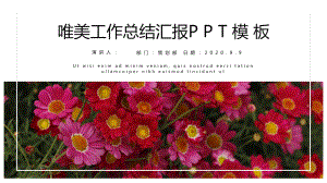 简约唯美清新经典高端共赢未来工作总结汇报模板课件.pptx