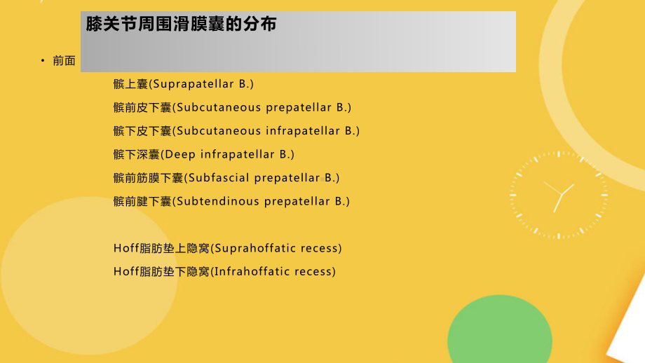 膝关节周围滑膜囊的解剖及MRI表现完整资料课件.pptx_第3页