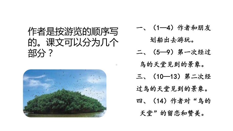 部编人教版五年级语文上册23《鸟的天堂》第二课时课件.pptx_第3页