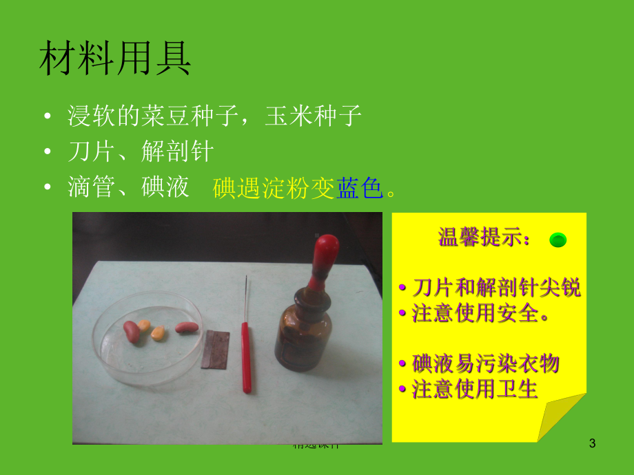 观察种子的结构(优质课)(同名37)课件.ppt_第3页