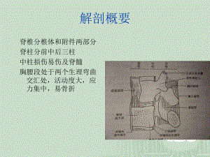 脊柱脊髓损伤课件.pptx