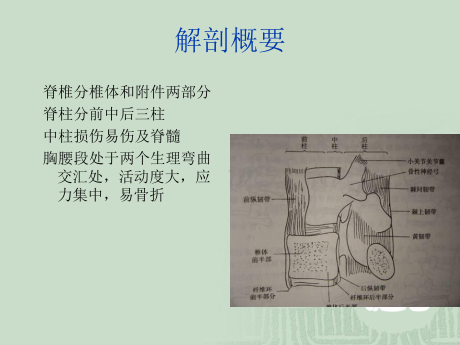 脊柱脊髓损伤课件.pptx_第1页