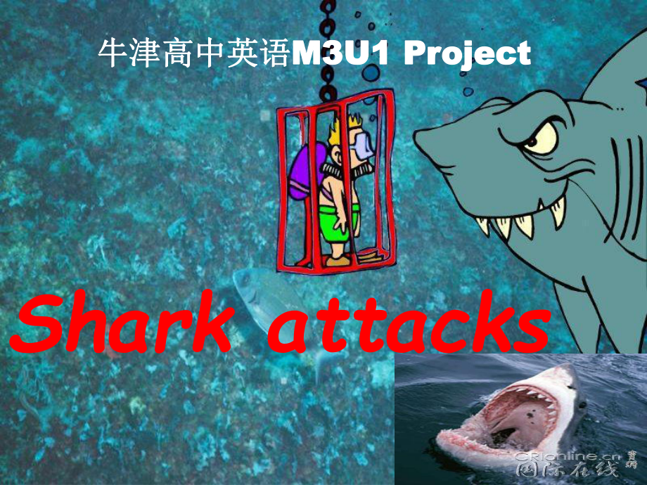 牛津高中英语M3U1-Project-Producing-a-TV-show-Shark-attacks课件.ppt_第2页