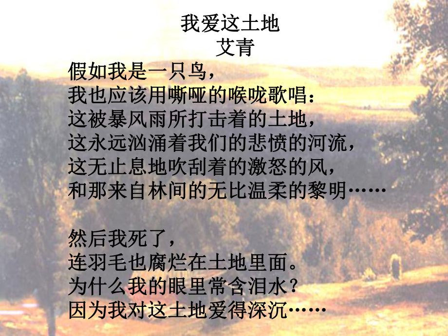 这片土地是神圣的课件讲义.ppt_第2页