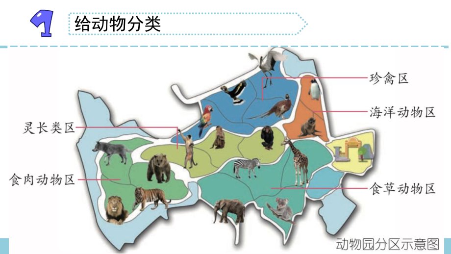 苏教版小学科学新版四年级上册科学1给动物分类课件.pptx_第2页