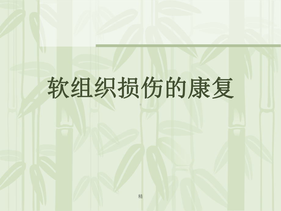 软组织损伤的康复讲解课件.ppt_第1页