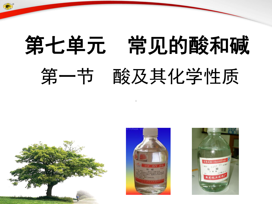 第一节酸及其性质-课件2.ppt_第2页