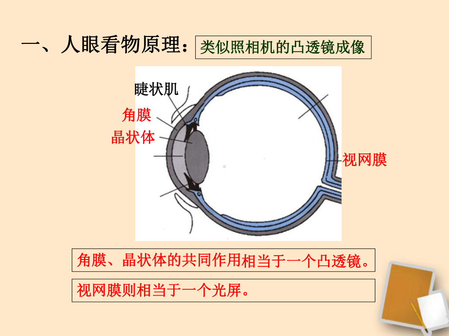 粤教沪版八年级物理上册37眼睛与光学仪器课件.ppt_第2页