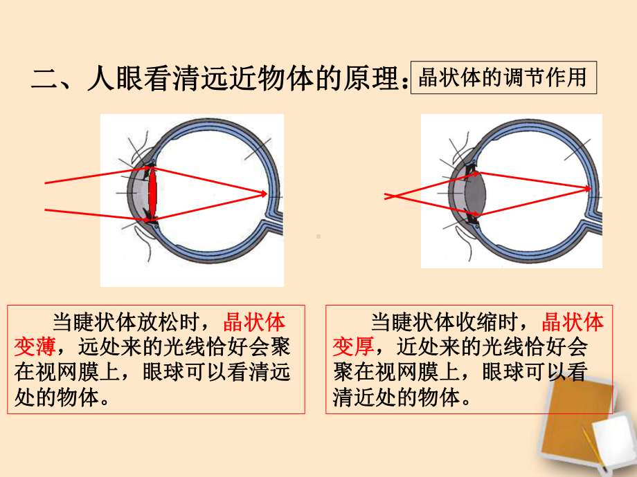 粤教沪版八年级物理上册37眼睛与光学仪器课件.ppt_第3页