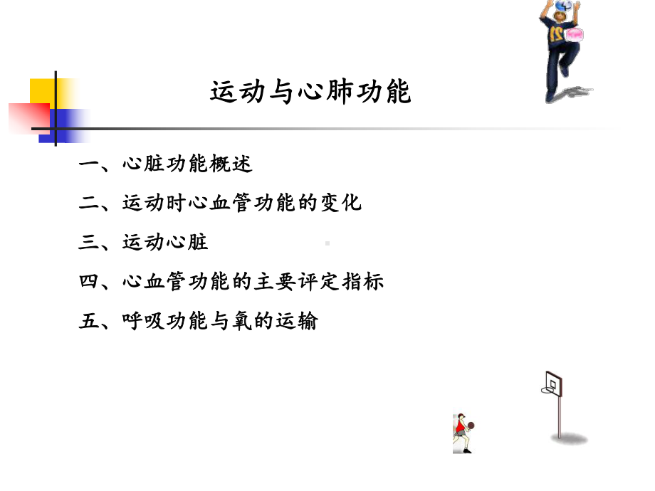 运动与心肺功能87128课件.ppt_第2页