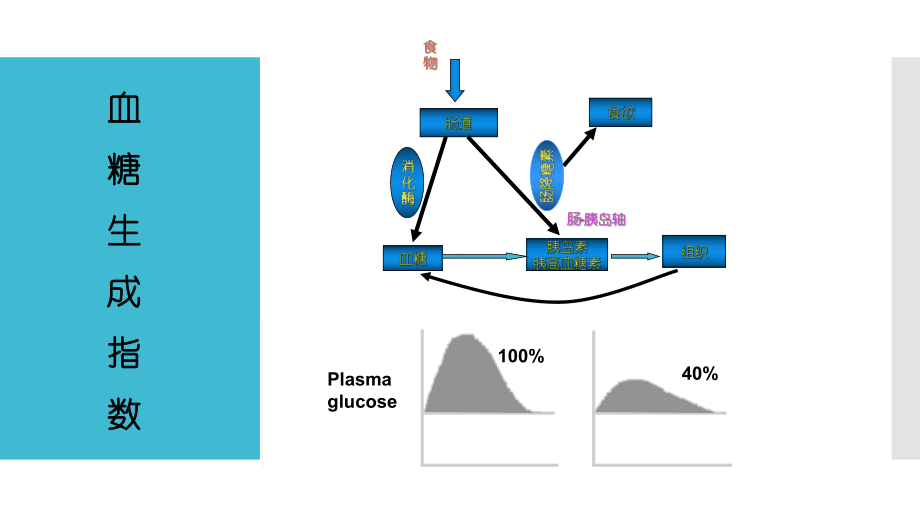 血糖生成指数测定方法课件.pptx_第2页