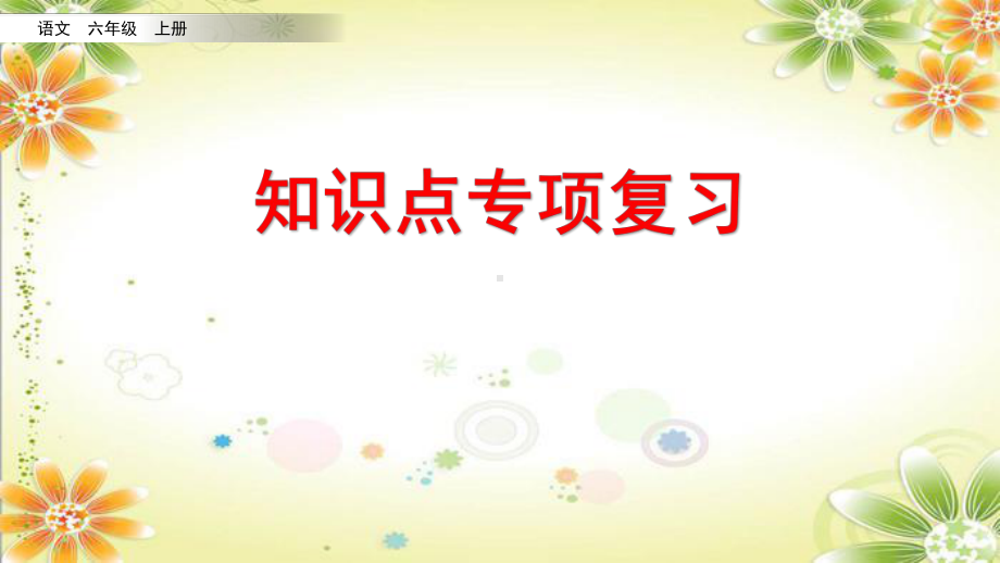 精编部编版六年级语文上册知识点+阅读指导+综合练习专项复习课件.pptx_第1页