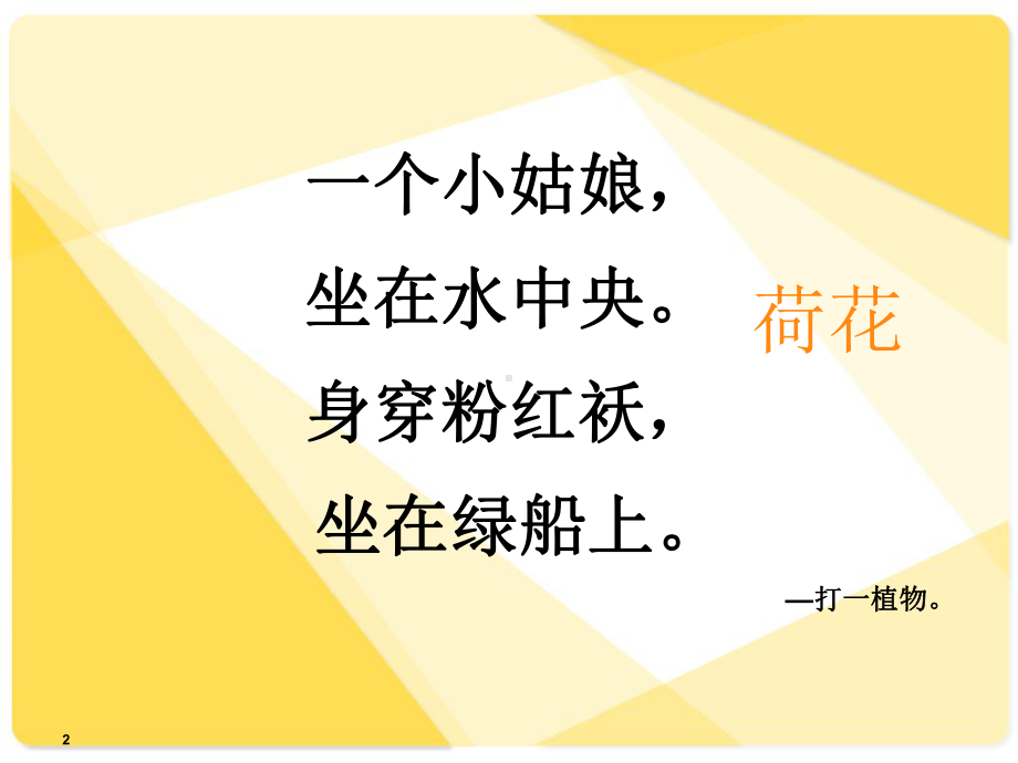 美术《荷花》课件.ppt_第2页