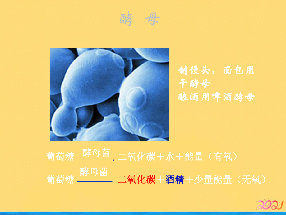 第二节-人类对细菌和真菌的利用课件优品.ppt_第3页