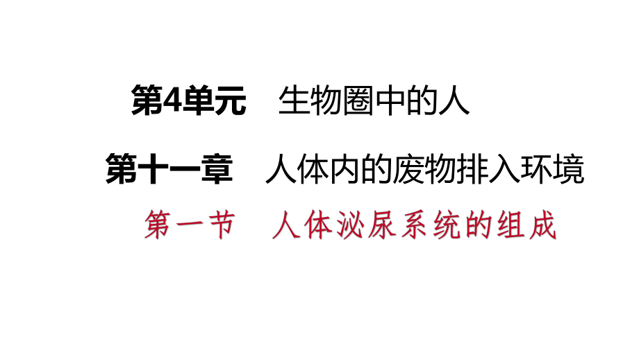 苏科版七年级生物下册第十一章人体内的废物排入环境课件.pptx_第1页