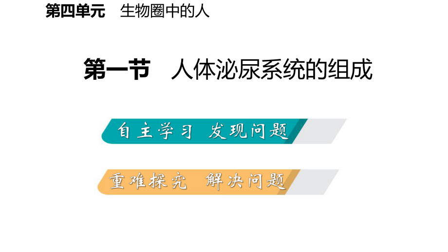 苏科版七年级生物下册第十一章人体内的废物排入环境课件.pptx_第2页