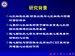 稳心颗粒对心力衰竭兔心肌细胞钙调控蛋白的影响[课件].pptx