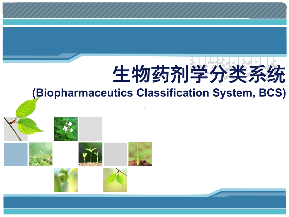 生物药剂学分类系统课件.ppt_第1页