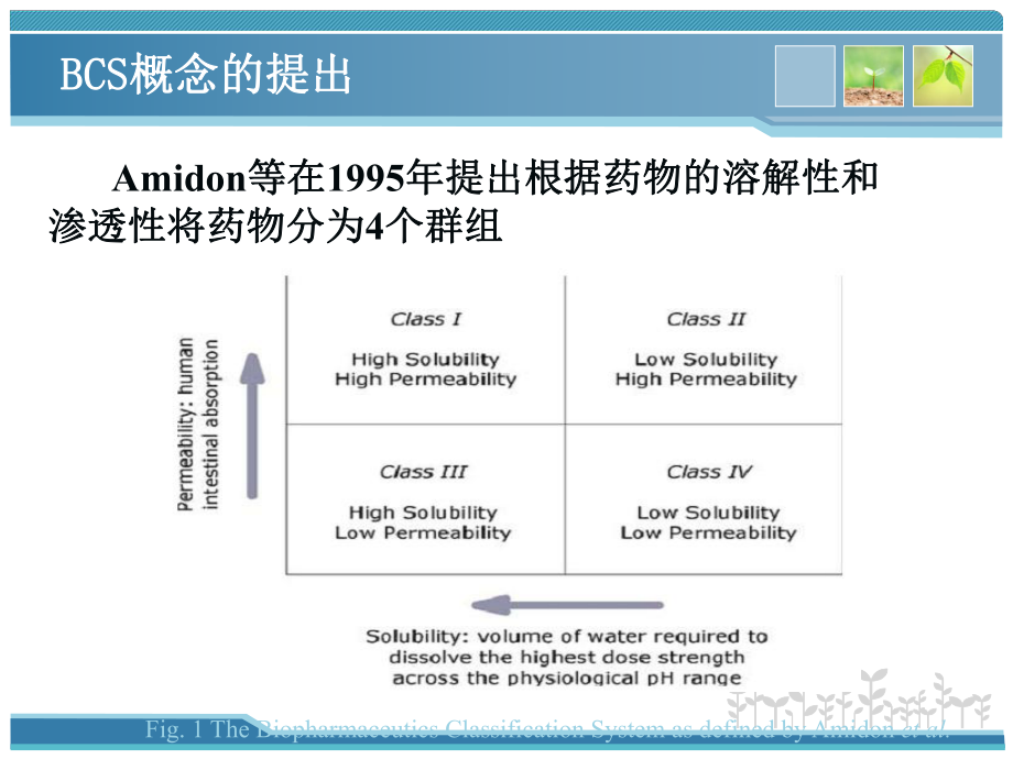 生物药剂学分类系统课件.ppt_第3页