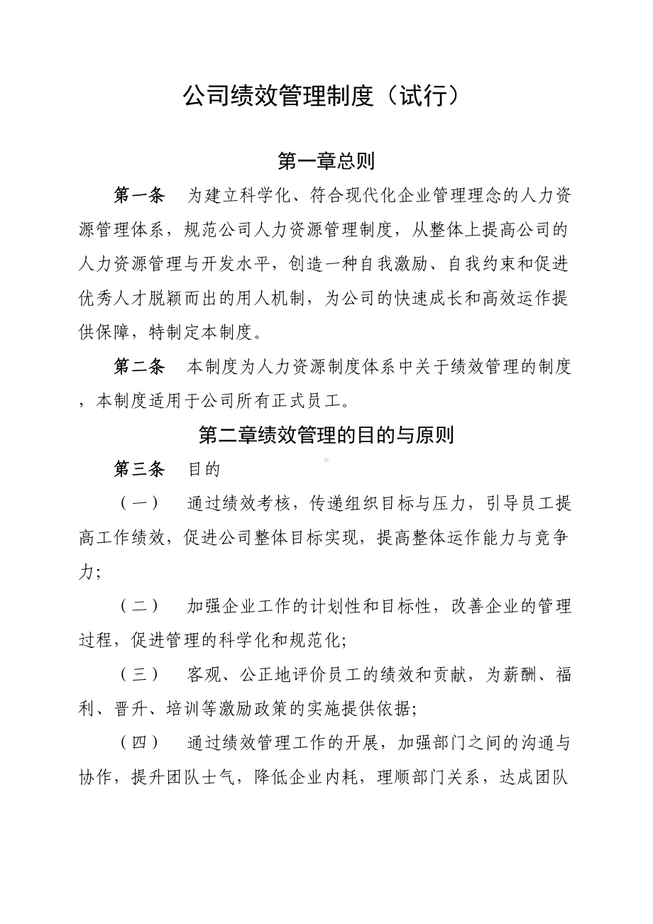 公司绩效管理制度(试行)(DOC 13页).doc_第1页