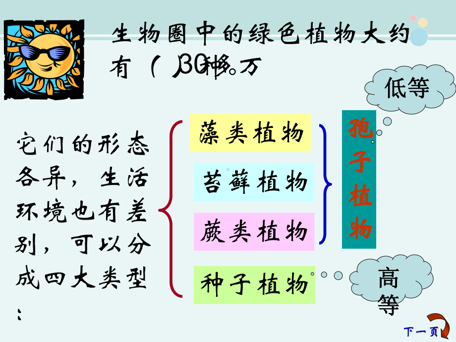 种子植物获奖-完整版课件.ppt_第2页