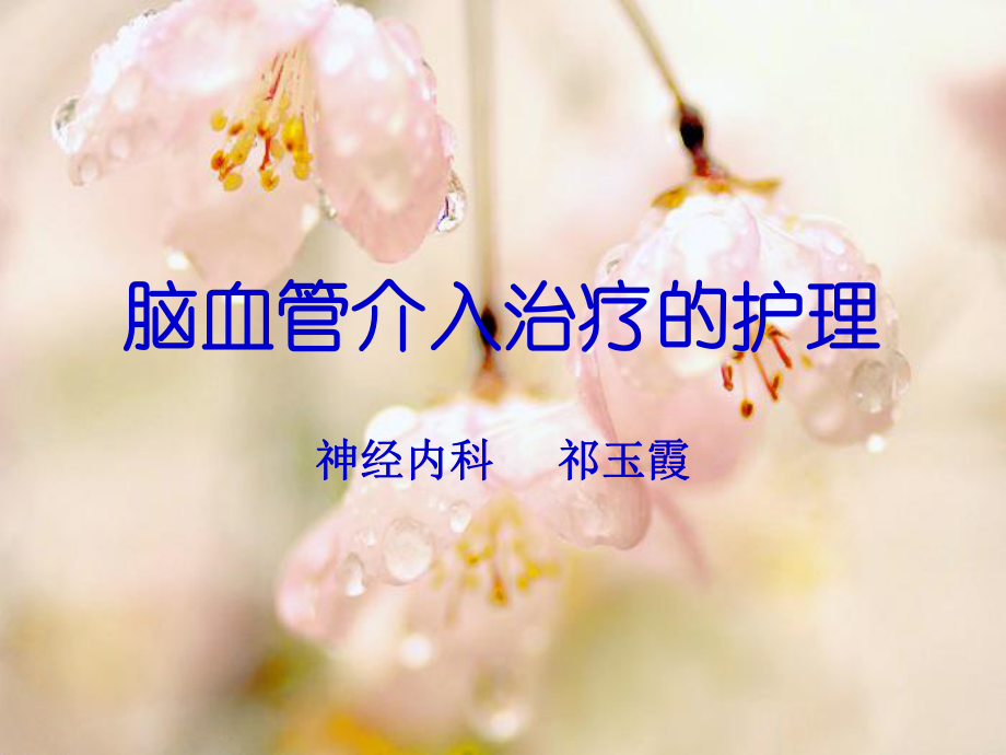 脑血管介入治疗的护理汇总课件.ppt_第1页