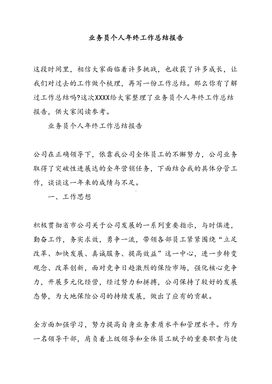 业务员个人年终工作总结报告(DOC 16页).docx_第1页