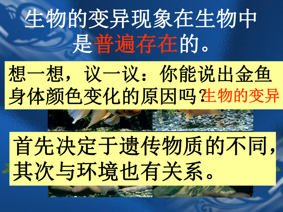 生物的变异课件(最新).ppt_第2页