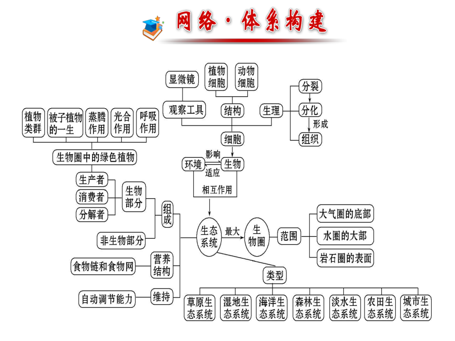 生物和生物圈总复习++++91课件.ppt_第2页