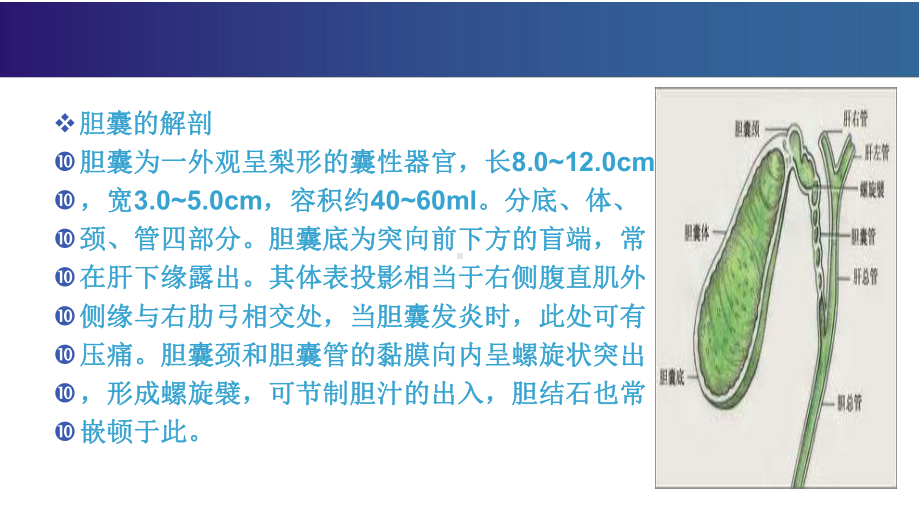 胆囊结石的诊治课件.pptx_第3页