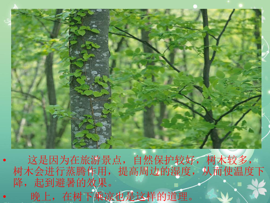 蒸腾作用与植树造林教学课件.ppt_第3页