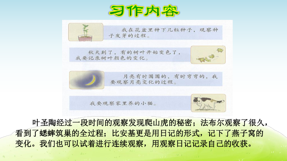 部编人教版四年级语文上册习作《写观察日记》优质课件.pptx_第3页