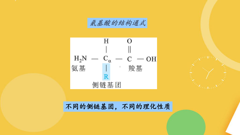 生物化学完整资料课件.pptx_第3页