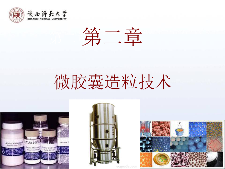 第二章食品微胶囊造粒技术课件.ppt_第1页