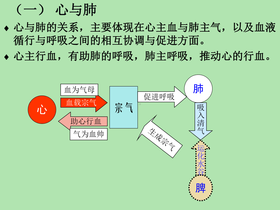 脏与腑之间的关系课件.ppt_第2页