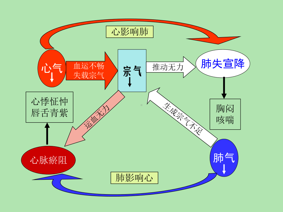 脏与腑之间的关系课件.ppt_第3页