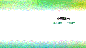 粤教粤科版二年级下册科学39小鸡啄米(课件).ppt