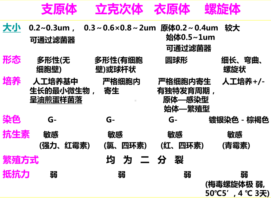 螺旋体、支原体、衣原体、立克次体教学课件.ppt_第3页