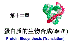 蛋白质翻译课件.ppt