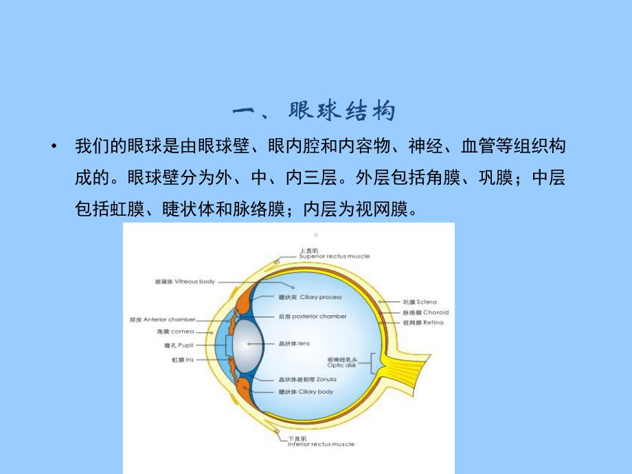 近视眼防控讲座课件.ppt_第2页