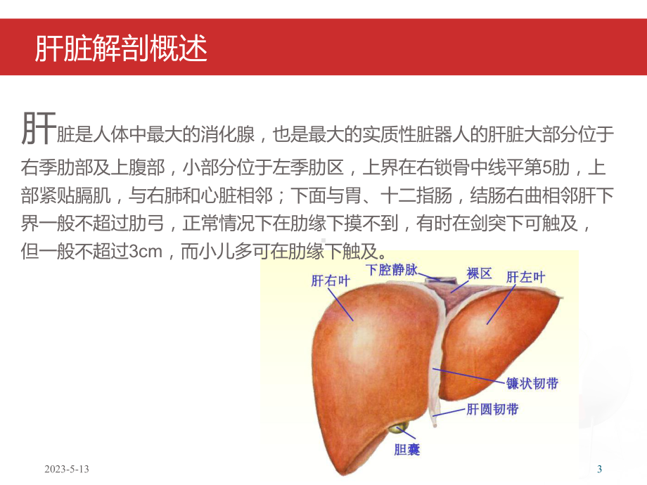 肝癌病人-护理查房课件.pptx_第3页